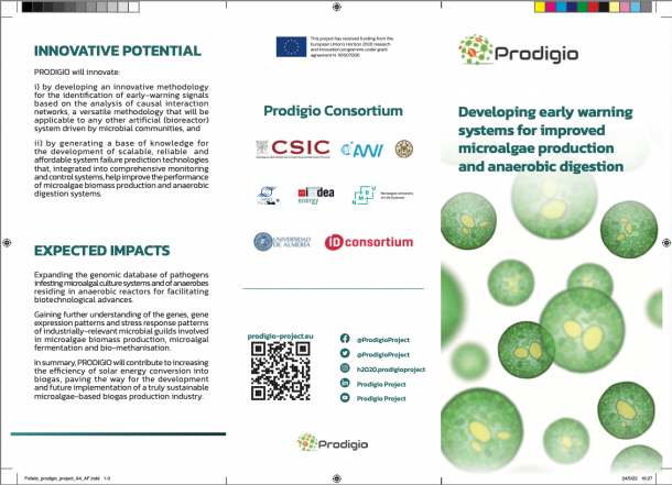 prodigio h2020 bioalgae biomass